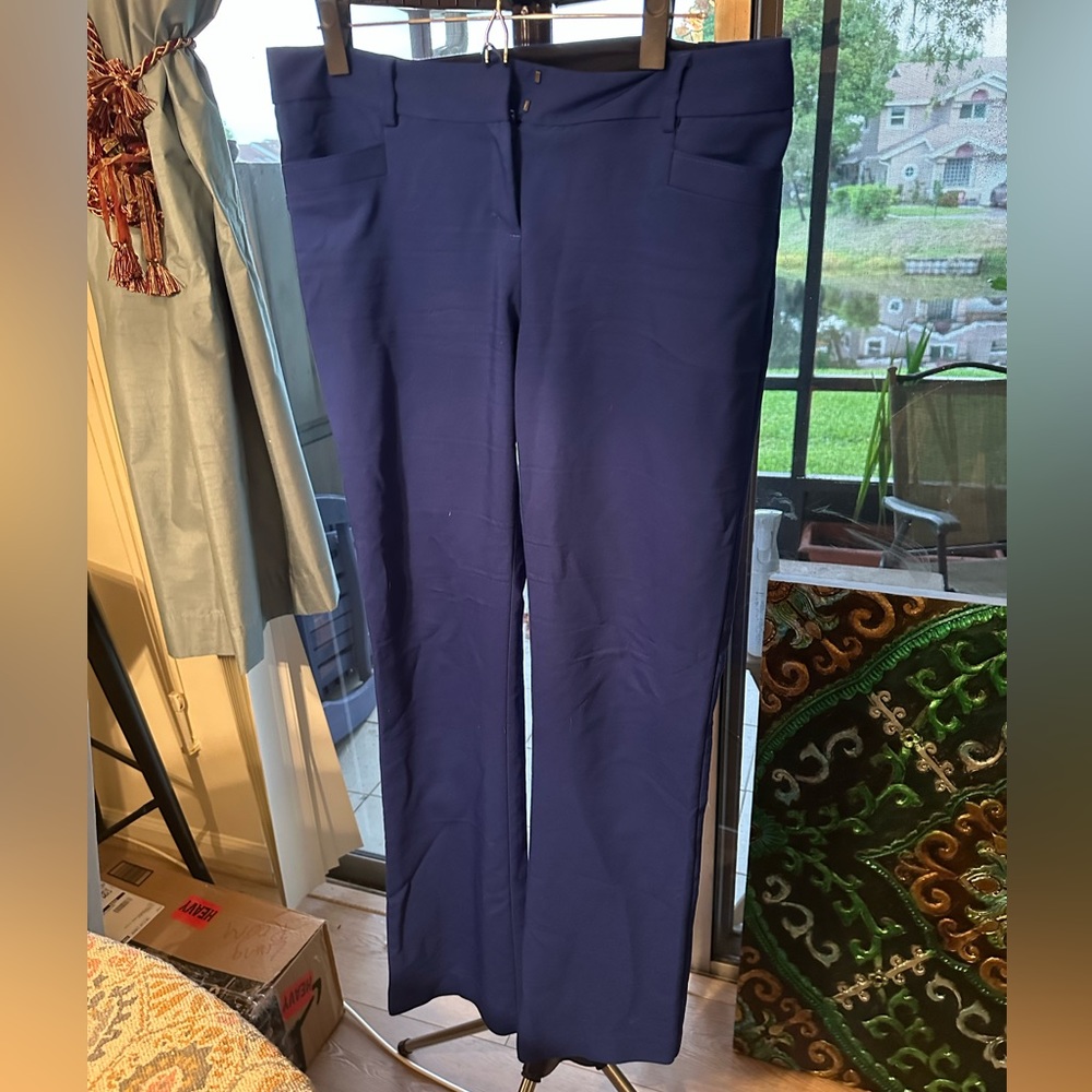 Express Columnist Blue Pants